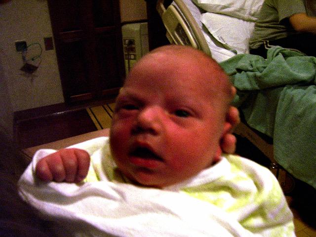 picture.jpg 002.jpg